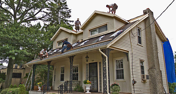 Best Local Roofing Companies  in Forest Hill, TX